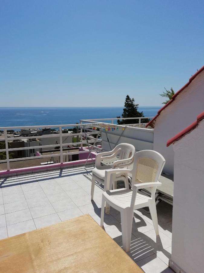 Camelia Apartament *