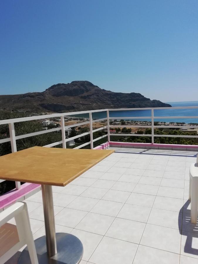 Camelia Apartment