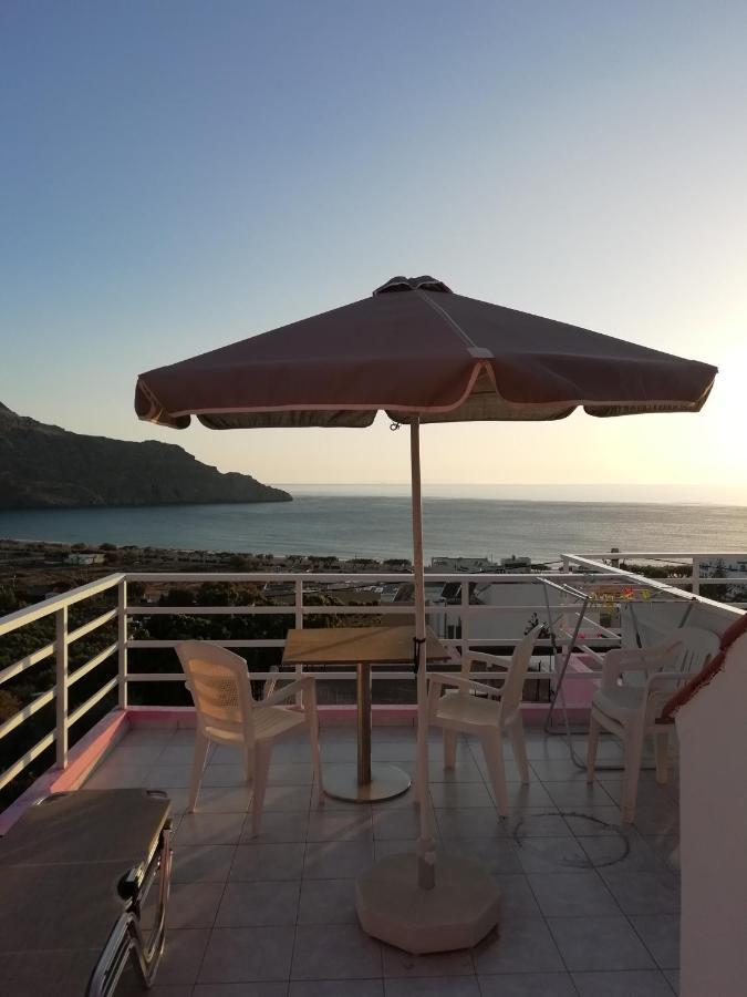 Apartament Camelia *