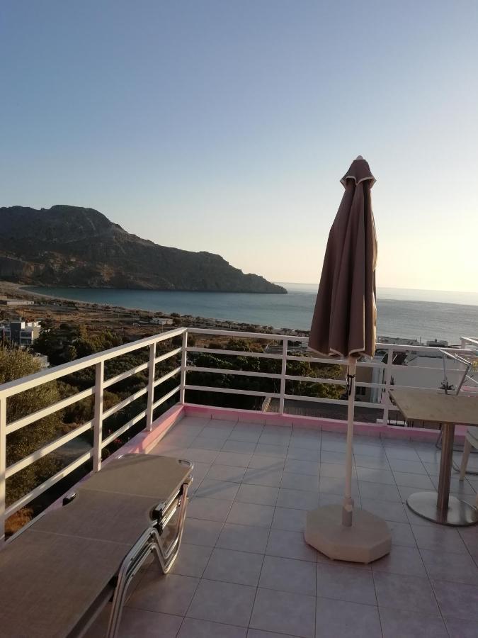 Camelia Apartament