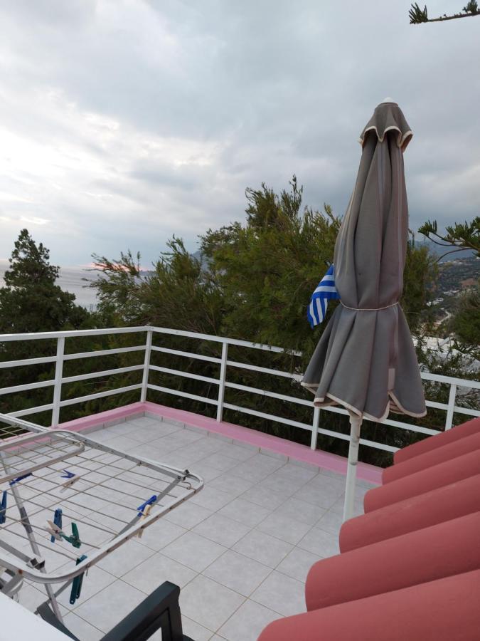 Camelia Apartament
