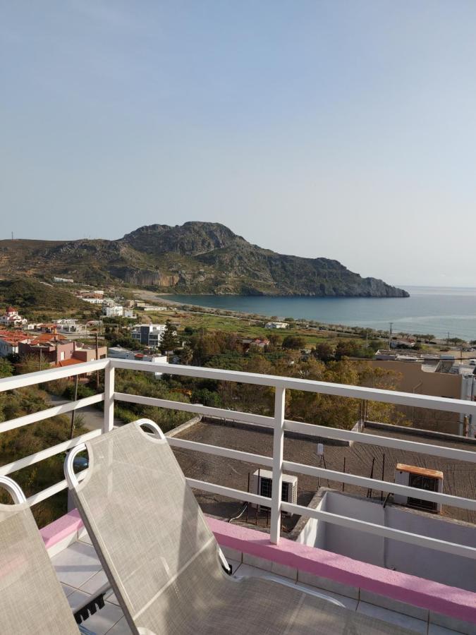 Camelia Apartment