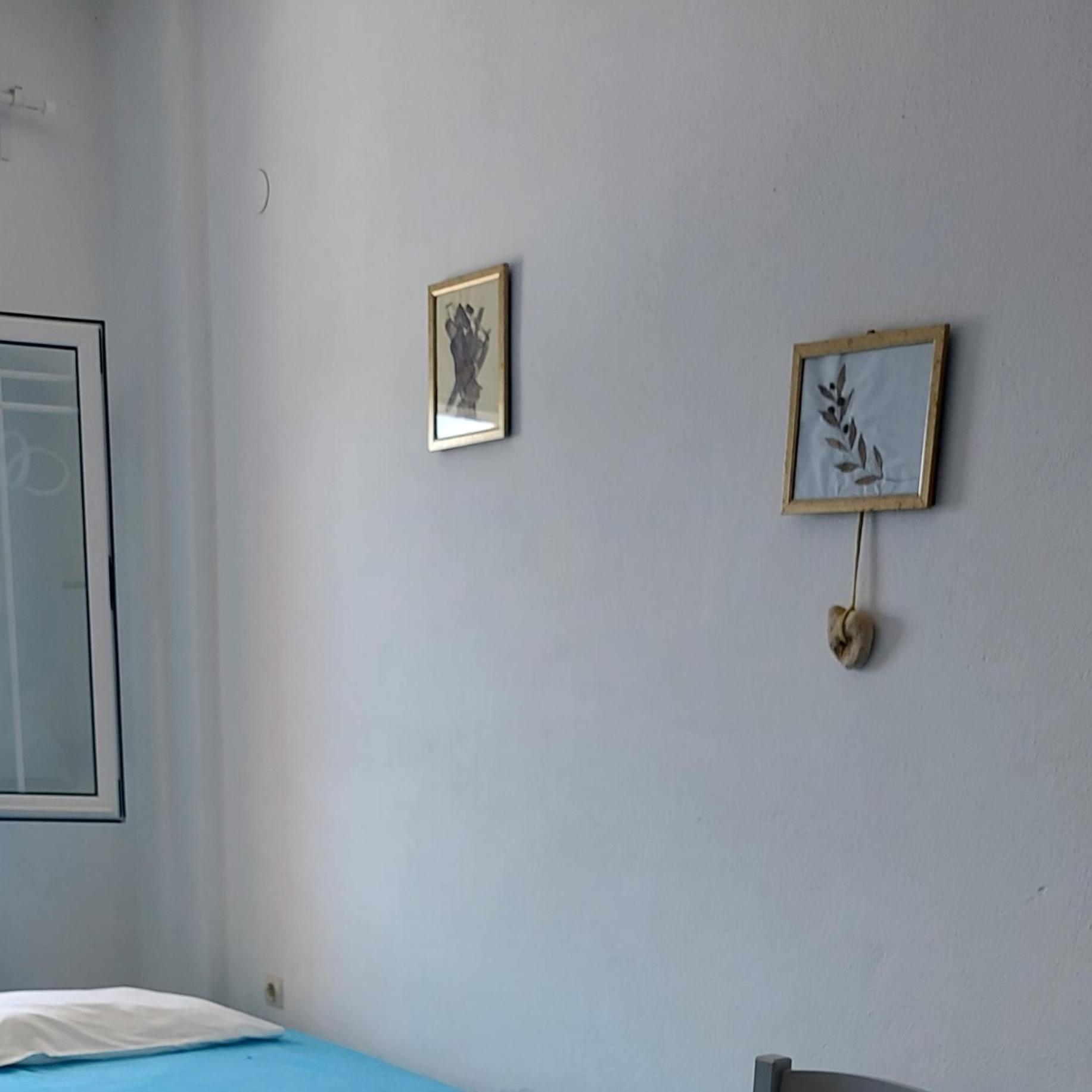 Apartament Camelia *
