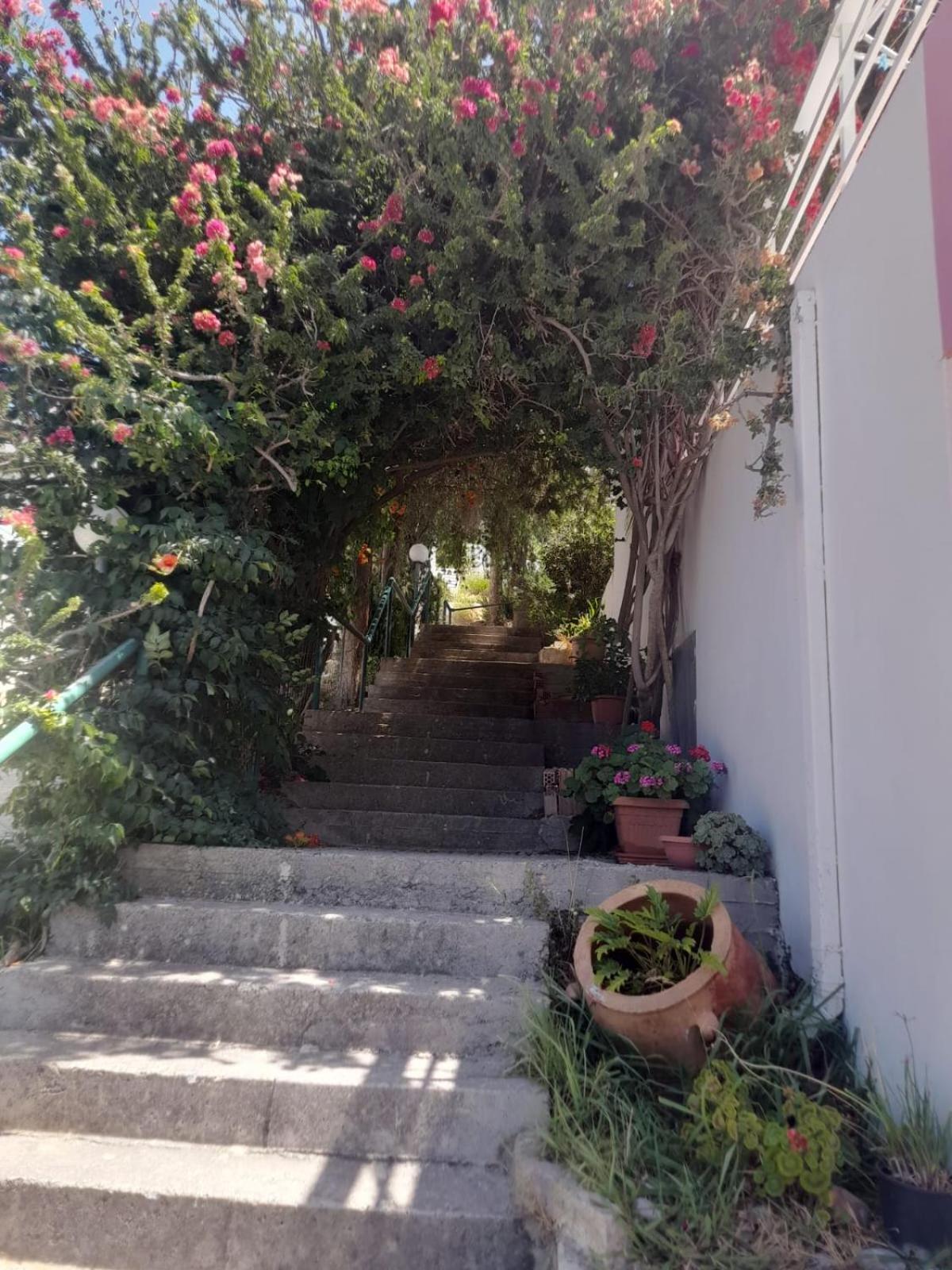 Apartament Camelia *