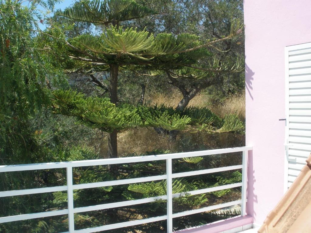 Apartament Camelia *