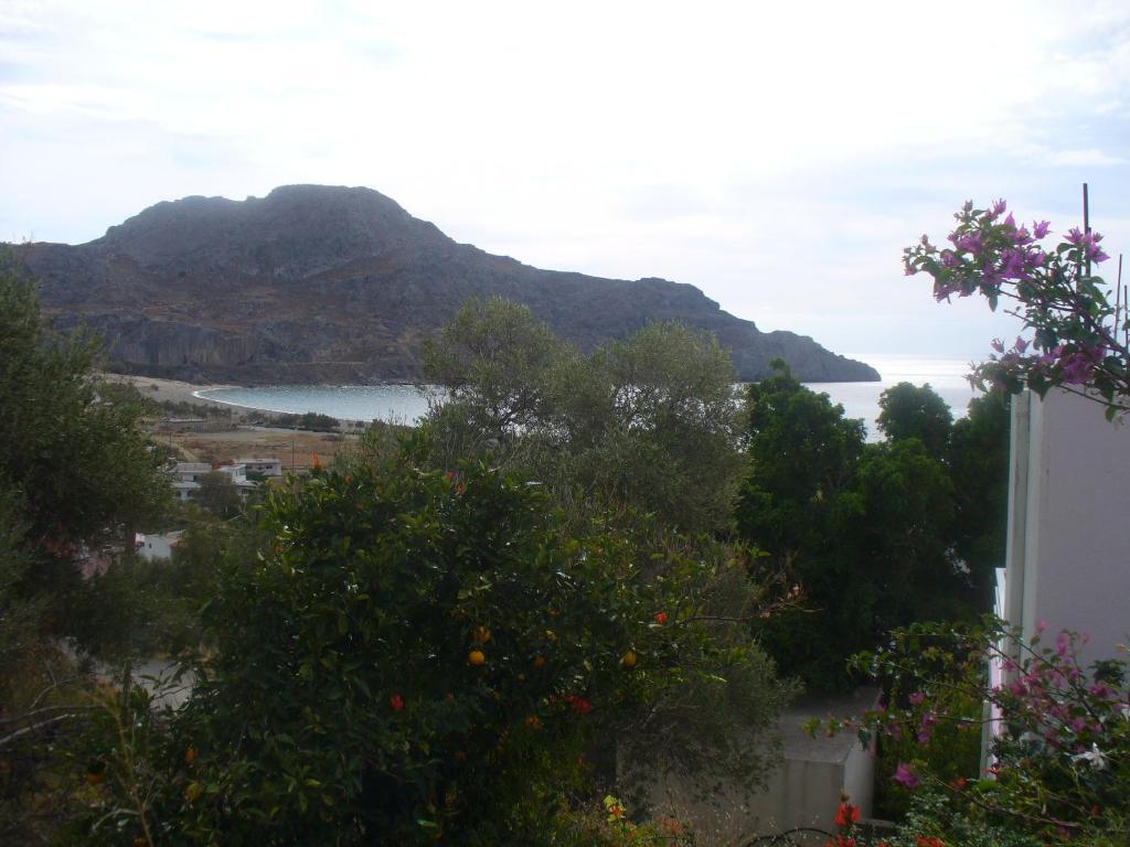 Apartament Camelia